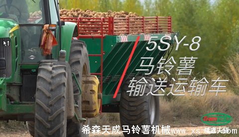 希森天成 5XF-60土豆清選分選裝倉線 3級分選